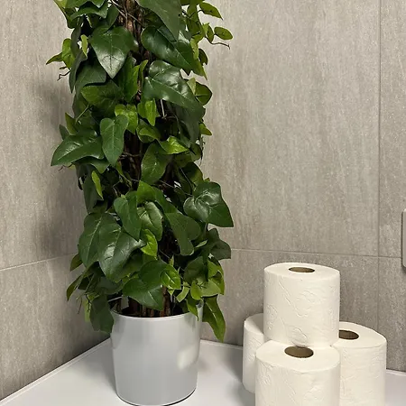 Lägenhet Sentral Med 3 Soverom Og Kjokken - Mare *